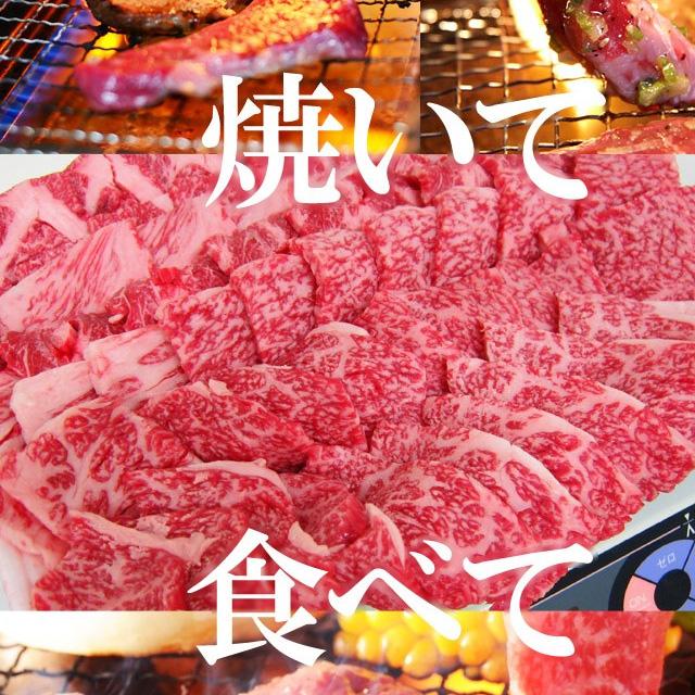 バーベキュー 飛騨牛 牛 牛肉 カルビ 焼肉用 テラ盛り 2kg 500ｇ×4 黒毛和牛 ブランド牛 食材 材料 セット 大人数 肉 黒毛黒毛和牛 バーベキュー BBQ bbq おもてなし 国産 メガ 焼肉 かるび おうち焼き肉 送料無料_3