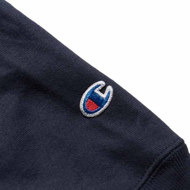 【美品】Champion ノートルダム大学 Vネックウェア UNIVERSITY OF NORTRE DAME オフィシャル クルーネック カレッジ