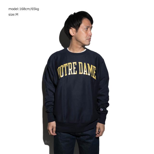 【美品】Champion ノートルダム大学 Vネックウェア UNIVERSITY OF NORTRE DAME オフィシャル クルーネック カレッジ