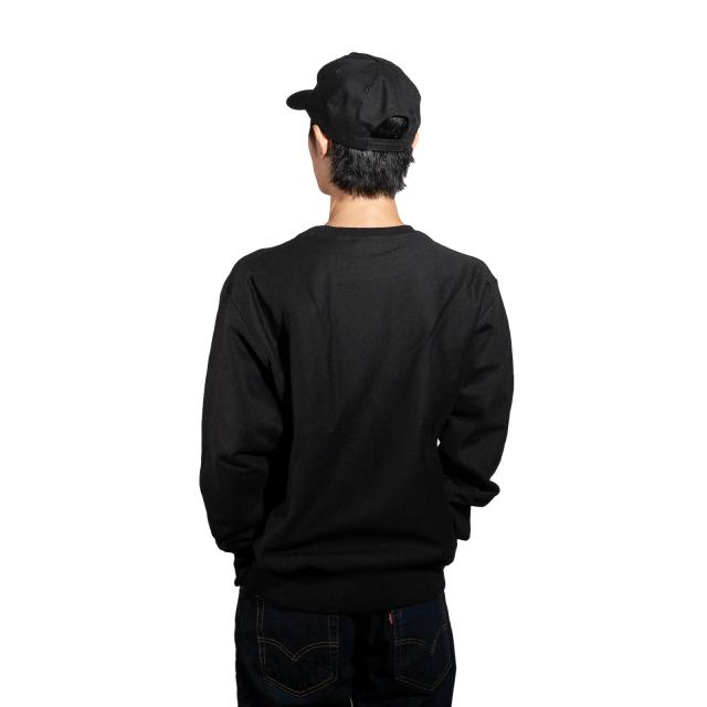 TEMPLE UNIVERSITY オフィシャル クルーネック カレッジスウェット