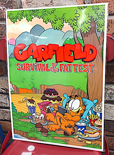 Garfield ガーフィールド グッズ アメリカン雑貨 台紙付きポスター 壁飾り La0037の通販はau Pay マーケット アメリカン雑貨 1985
