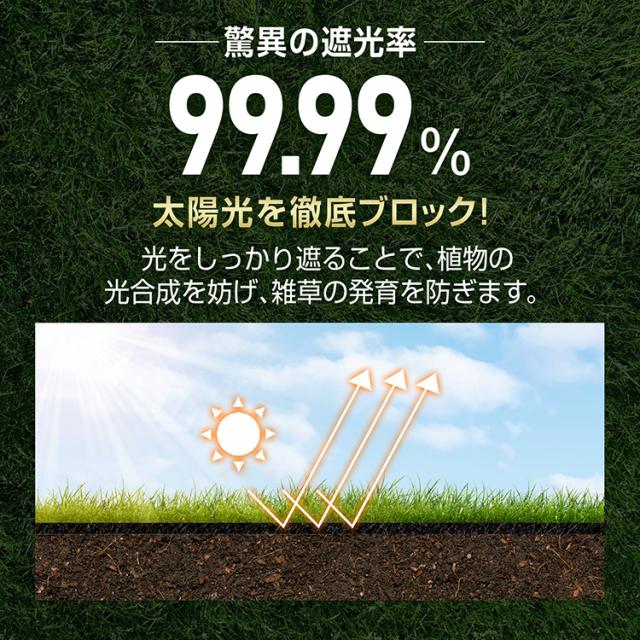 防草シート 2×100m 耐用年数3年 雑草対策防止 高透水 高耐久 高密度