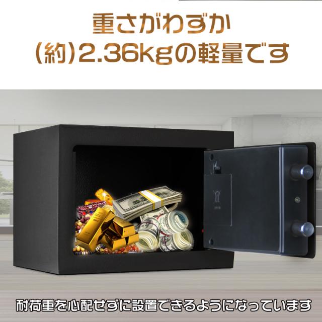 金庫(家庭用 テンキー&キーロック式) 金庫 家庭用 小型 テンキー式 デジタル 電子ロック セキュリティ