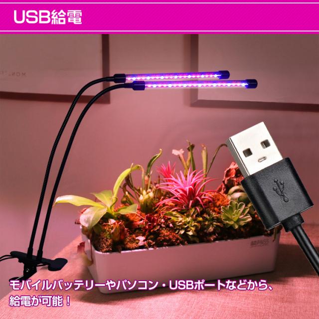 OPTIC4 ×2 LED室内栽培 Amazon.co.jp: LEDグローライト 6000K フル