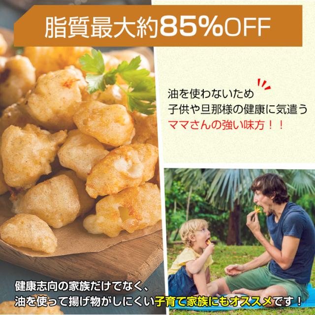 新生活 ノーオイルフライヤー 家庭用 フライヤー 大容量5L