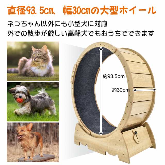 猫 トレッドミル キャット ホイール pt071 | www.innoveering.net