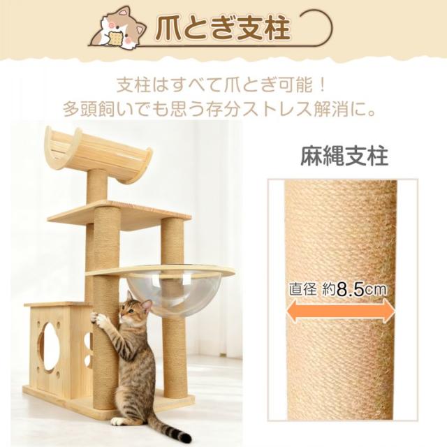 キャットタワー 木製 天然 天然木 据え置き 低め 置き型 多頭飼い 宇宙