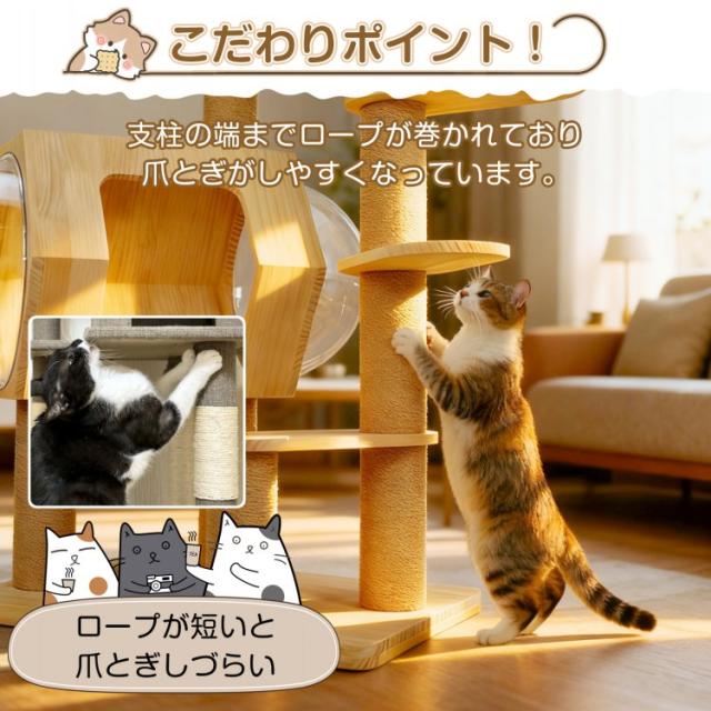 キャットタワー 木製 天然 天然木 据え置き 低め 置き型 多頭飼い 宇宙