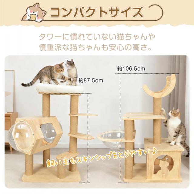 キャットタワー 木製 天然 天然木 据え置き 低め 置き型 多頭飼い 宇宙