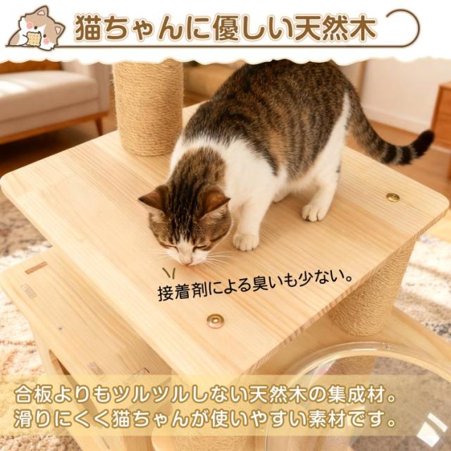キャットタワー 木製 天然 天然木 据え置き 低め 置き型 多頭飼い 宇宙 