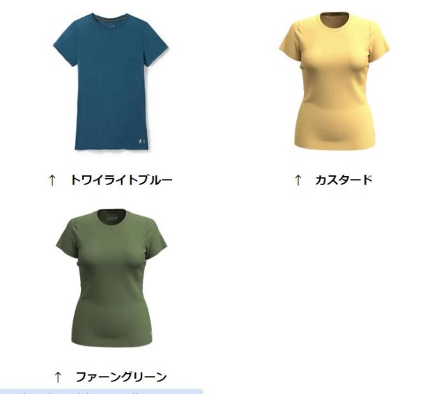 スマートウール ウィメンズ メリノショートスリーブ SW64185 レディース/女性用 Tシャツの通販は