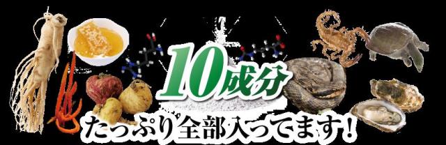 ＼ポイント消化！／【送料無料】 精氣根 (しょうきこん) 3本 180カプセル入り 男性のサプリメント 男らしさを追求したい方にオススメ 生涯現役の為に HMBカルシウム L-シトルリン 亜鉛 マカ トンカットアリ 牡蠣肉エキス ウコン ローヤルゼリー ガラナなど増大！_1