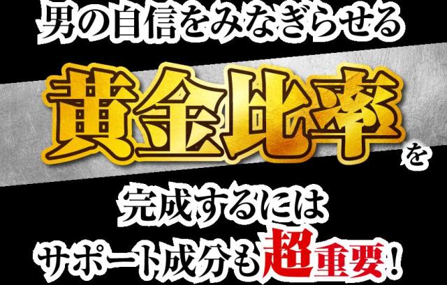 ＼ポイント消化！／【送料無料】 精氣根 (しょうきこん) 3本 180カプセル入り 男性のサプリメント 男らしさを追求したい方にオススメ 生涯現役の為に HMBカルシウム L-シトルリン 亜鉛 マカ トンカットアリ 牡蠣肉エキス ウコン ローヤルゼリー ガラナなど増大！_2