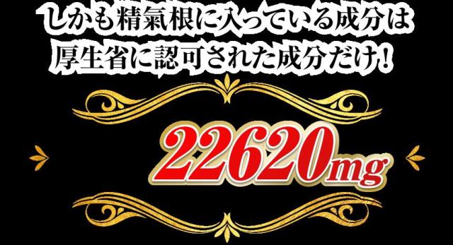 ＼ポイント消化！／【送料無料】 精氣根 (しょうきこん) 3本 180カプセル入り 男性のサプリメント 男らしさを追求したい方にオススメ 生涯現役の為に HMBカルシウム L-シトルリン 亜鉛 マカ トンカットアリ 牡蠣肉エキス ウコン ローヤルゼリー ガラナなど増大！_3