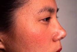 ポイント消化！／ 【送料無料】トミーリッチ TEIカラー ナチュラル