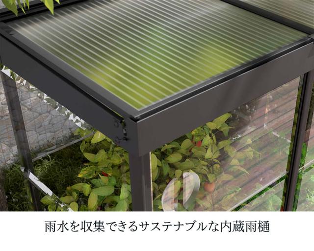 CANOPIA by PALRAM 4x2 IVY ミニ温室 グリーンハウス キット