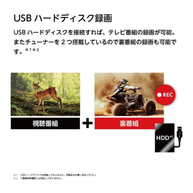ORION オリオン スマートテレビ 50V型 4K液晶 GoogleTV HDR10 DolbyAudio対応_5