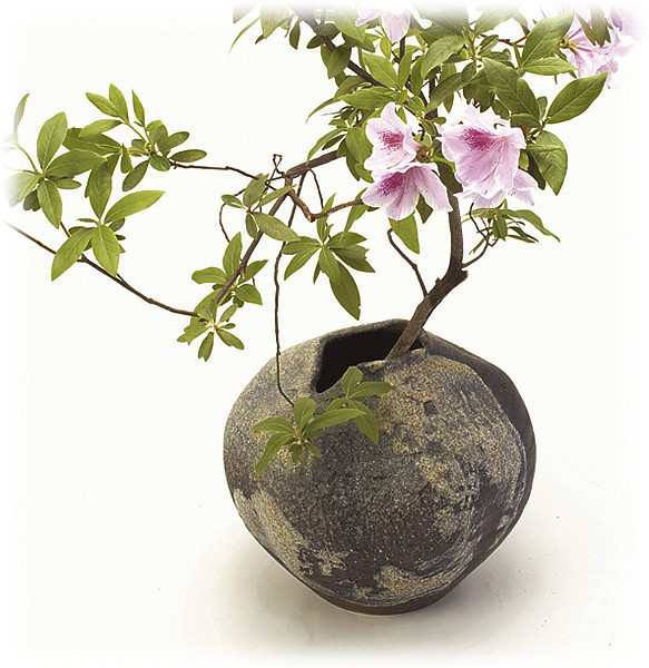 信楽焼陶器 花瓶 花器 花入陶器花瓶 陶器花入れ 陶器花器 信楽焼花瓶 信楽焼花入れ 信楽焼花器 陽 よう 高さ31 0cmの通販はau Pay マーケット しがらき焼 翔