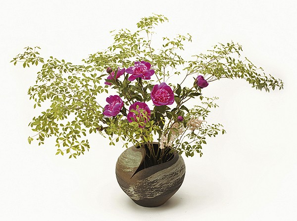 信楽焼陶器 花瓶 花器 花入陶器花瓶 陶器花入れ 陶器花器 信楽焼花瓶 信楽焼花入れ 信楽焼花器 雲 くも 高さ31 0cmの通販はau Pay マーケット しがらき焼 翔 信楽焼陶器 花瓶 花器 花入陶器花瓶 陶器花入れ 陶器花器 信楽焼花瓶 信楽焼花入れ 信楽焼花器 雲 くも 高さ31 0cmの通販はau Pay マーケット しがらき焼 翔