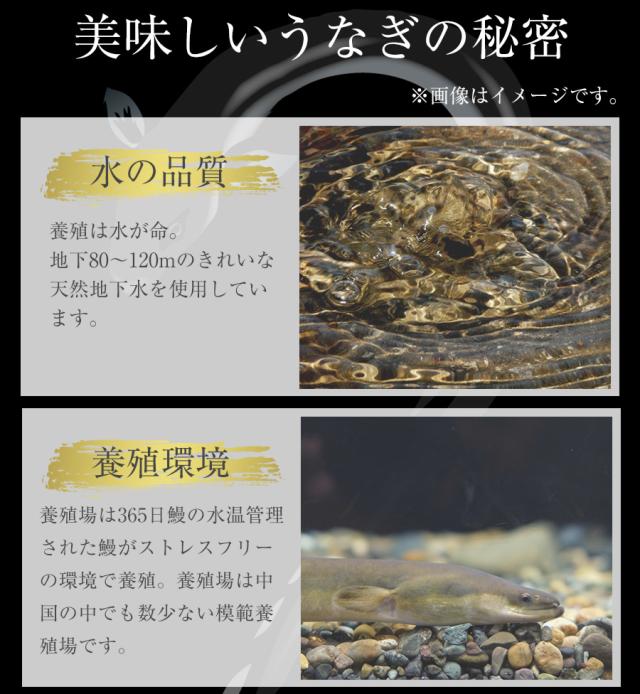 T【牛めし30食にうなぎ1人前おまけ！】松屋のうな丼 うなぎ・牛めしセット（プレミアム牛めしの具×30+うなぎ80g×1） うなぎ まつや 受験生応援 牛丼 食品 グルメ 冷凍 冷凍食品 おかず 惣菜 業務用 お弁当 レンチン お試し 非常食 牛めし 牛肉 肉 牛丼の具_7