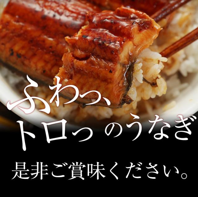 T【牛めし30食にうなぎ1人前おまけ！】松屋のうな丼 うなぎ・牛めしセット（プレミアム牛めしの具×30+うなぎ80g×1） うなぎ まつや 受験生応援 牛丼 食品 グルメ 冷凍 冷凍食品 おかず 惣菜 業務用 お弁当 レンチン お試し 非常食 牛めし 牛肉 肉 牛丼の具_9