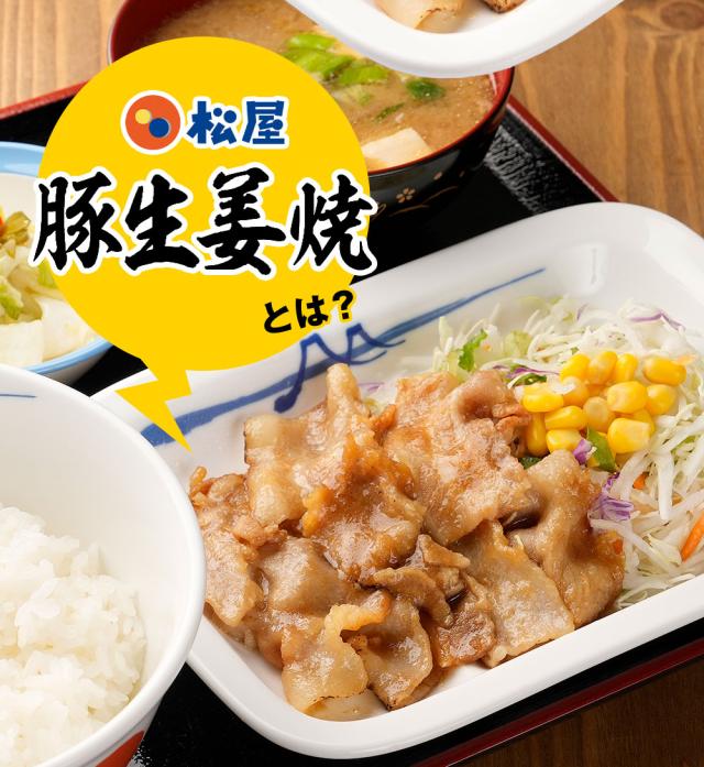PS 松屋 豚生姜焼き＆牛めしの具(プレミアム仕様)30食セット（豚生姜焼き60g ×5　牛めしの具(プレミアム仕様)×25） まつや 受験生応援 牛丼 食品 グルメ 冷凍 冷凍食品 おかず 惣菜 業務用 お弁当 レンチン お試し 非常食_6