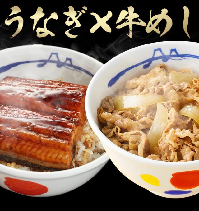 T【牛めし30食にうなぎ1人前おまけ！】松屋のうな丼 うなぎ・牛めしセット（プレミアム牛めしの具×30+うなぎ80g×1） うなぎ まつや 受験生応援 牛丼 食品 グルメ 冷凍 冷凍食品 おかず 惣菜 業務用 お弁当 レンチン お試し 非常食 牛めし 牛肉 肉 牛丼の具_11