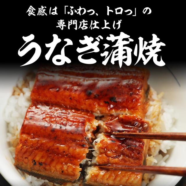 T【牛めし30食にうなぎ1人前おまけ！】松屋のうな丼 うなぎ・牛めしセット（プレミアム牛めしの具×30+うなぎ80g×1） うなぎ まつや 受験生応援 牛丼 食品 グルメ 冷凍 冷凍食品 おかず 惣菜 業務用 お弁当 レンチン お試し 非常食 牛めし 牛肉 肉 牛丼の具_4