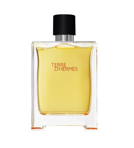 エルメス テールドゥエルメス EDT SP 100ml / HERMES 香水 フレグランス 男性用 メンズ