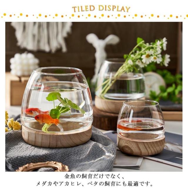 ウッドガラス/メダカ鉢 ガラス製 メダカ鉢（流木台座つき） ガラス製