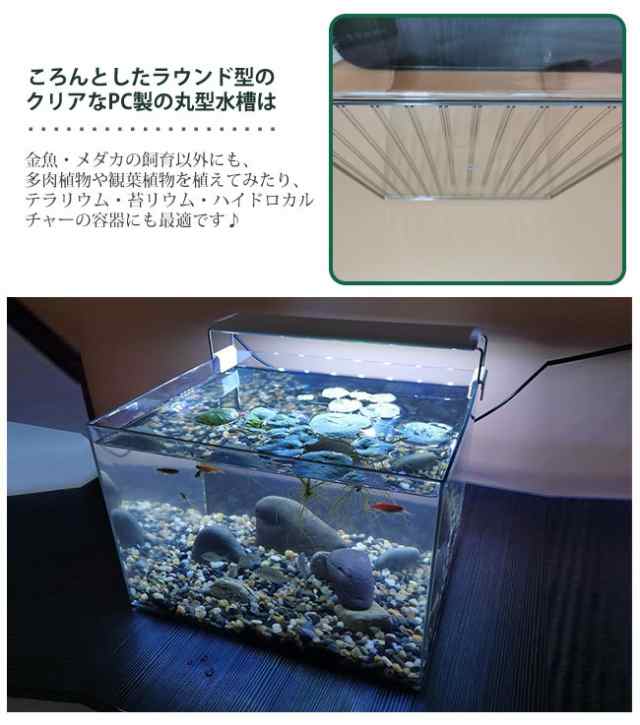 テラリウム 観葉植物 金魚鉢 水槽 飼育水槽 プラスチック テラリウム