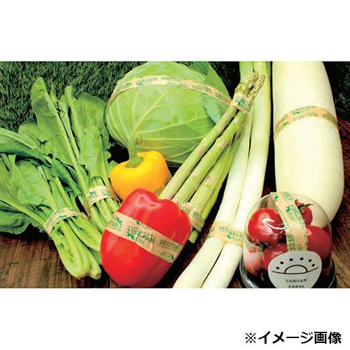紙の野菜テープ 15mm幅×100ｍ 120巻_1