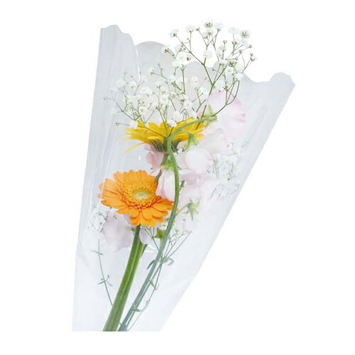 【送料無料】花三角袋 F-412545 6000枚の通販は