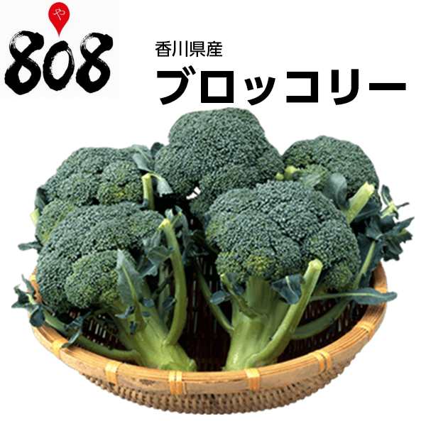 香川県産 ブロッコリー 1株 約500g 野菜詰め合わせセットと同梱で送料無料 送料別 旬の味覚 グルメ 野菜 詰め合わせ セット 葉の通販はau Pay マーケット 808青果店