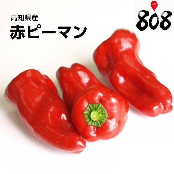 au　約500g【野菜詰め合わせセットと同梱で送料無料】/敬老の日/ビタミンC/赤ピーマンの酢の物/赤の通販はau　808青果店　送料別】【高知県産】赤ピーマン　PAY　PAY　1パック　マーケット　マーケット－通販サイト