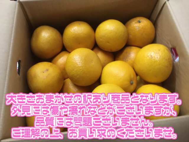 送料無料 愛媛県産 訳あり 宇和ゴールド 大きさおまかせ 約8 10kg 北海道沖縄別途送料加算 河内晩柑 家庭用 訳有 訳あり の通販はau Pay マーケット 808青果店