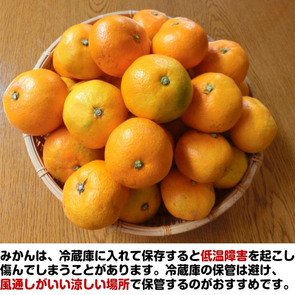 送料無料 みとよ他西日本産 訳あり みかん 2sサイズ 約10kg 北海道沖縄別途送料加算 激甘 ミカン 蜜柑 旬の味覚 グルメ おうち時の通販はau Pay マーケット 808青果店 送料無料 みとよ他西日本産 訳あり みかん 2sサイズ 約10kg 北海道沖縄別途送料加算 激甘 ミカン 蜜柑 旬の味覚 グルメ おうち時の通販はau Pay マーケット 808青果店