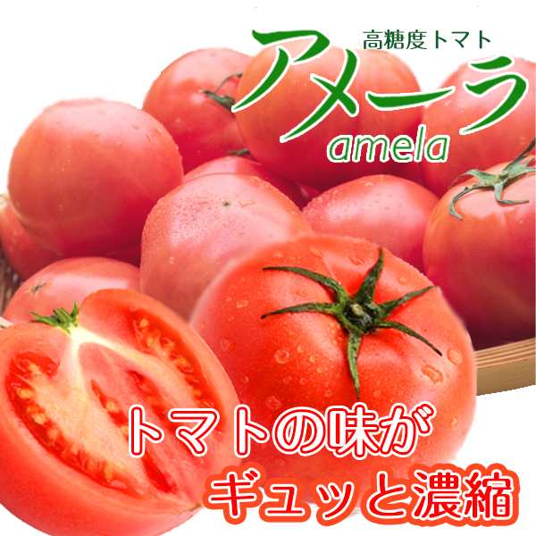 送料無料】【静岡県/長野県産】とってもあま〜い 高糖度 アメーラ