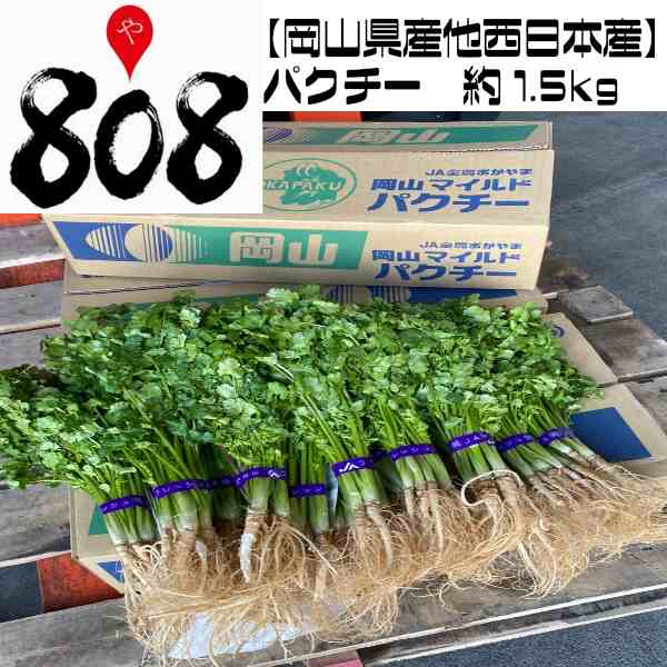 チルド便送料無料 岡山県産他西日本産 パクチー コリアンダー 香菜 約1 5kg 北海道 沖縄離島別途送料加算 お歳暮 歳暮 中元 おの通販はau Wowma 808青果店