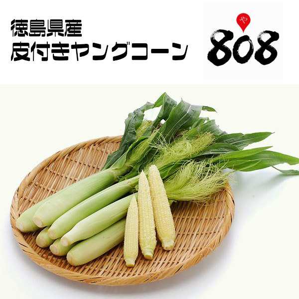 チルド便送料無料 徳島県産 皮付きヤングコーン 1箱50本入 北海道沖縄別途送料加算 とうもろこし コーン ベビーコーン 敬老の日 の通販はau Pay マーケット 808青果店