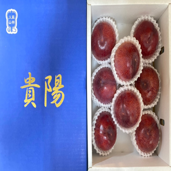 チルド便送料無料 産地厳選 貴陽 プレミアムすもも プラム 化粧箱入 大きさお任せ 約1 5kg 北海道沖縄別途送料加算 きよう スの通販はau Pay マーケット 808青果店