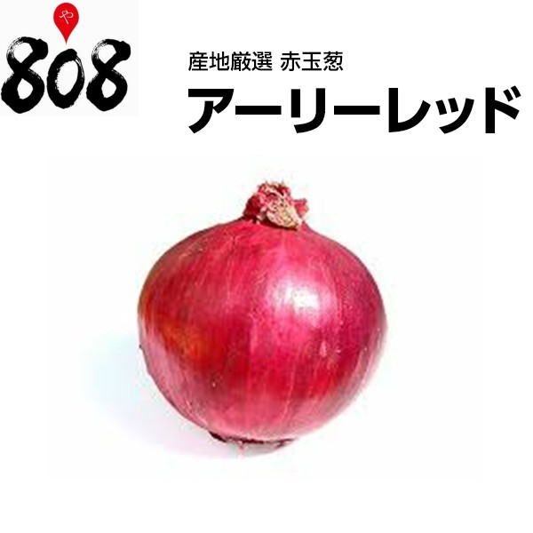 産地厳選】アーリーレッド 1ネット 約1kg【野菜詰め合わせセットと同梱