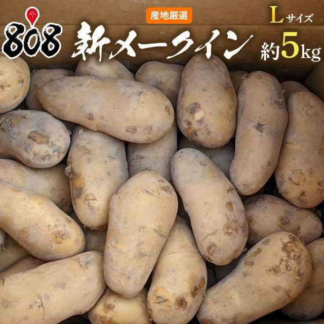 送料無料】【長崎県産】新メークイン Lサイズ 約5kg(北海道沖縄別途