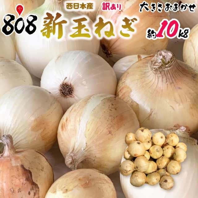 訳あり新玉ねぎ 大きさおまかせ 約10kg(北海道沖縄別途送料加算)産地