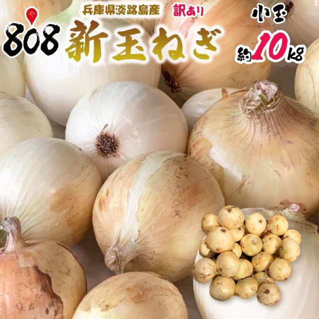 送料無料】【兵庫県淡路島産】訳あり新玉ねぎ 小玉 約10kg(北海道沖縄別途送料加算)産地直送仕入れ/の通販はau PAY マーケット - 808青果店