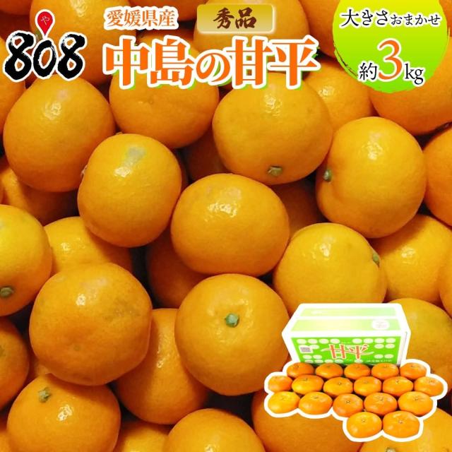 【送料無料】【愛媛県産】秀品　中島の甘平　大きさお任せ　約3kg(北海道沖縄別途送料加算)みかん/高品質/ミカン/蜜柑/清見/アンコール/濃厚/柑橘/おうち時間応援/巣ごもり消費/自炊/健康の通販は