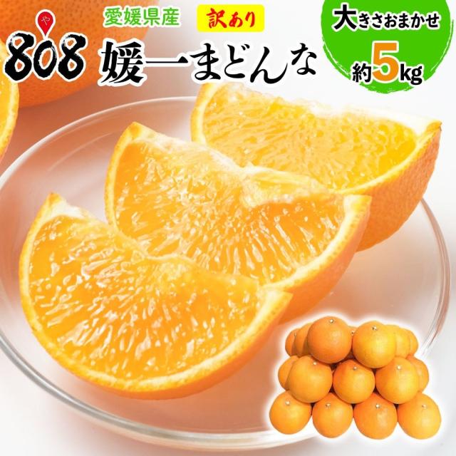 【送料無料】【ふるさと納税にも選ばれた】【愛媛県産】訳あり 媛一まどんな 大きさおまかせ 約5kg(北海道沖縄別途送料加算)みかん/蜜柑/ブランドみかん/お歳暮/歳暮/ラッピング/熨斗/可/紅まどんな/愛まどんな/媛まどんな/の通販は