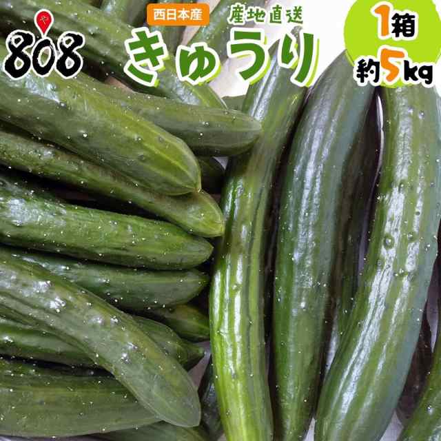 きゅうり様中玉5キロ - 果物