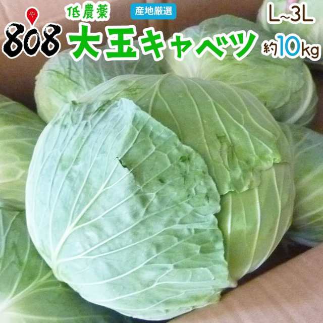 Ｌ〜3Ｌサイズ　送料無料】【産地厳選】低農薬　808青果店　大玉キャベツ　PAY　マーケット　1箱　約10kg以上(北海道沖縄別途送料加算)きゃべつ/千切り/業務/種/苗/やみの通販はau　マーケット－通販サイト　au　PAY