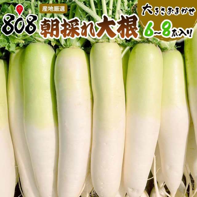 送料無料】【産地厳選】朝採れ大根 大きさおまかせ 1箱 6本〜8本